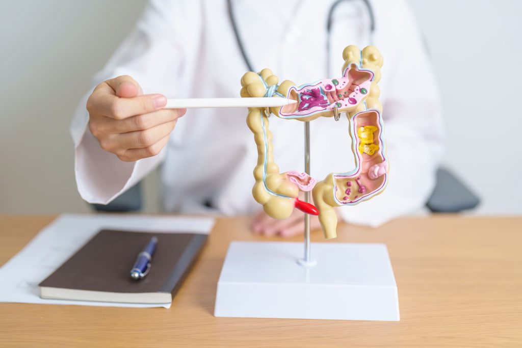 Γαστρεντερολογική Αξιολόγηση & Gut Screening | Mediforma Αθήνα